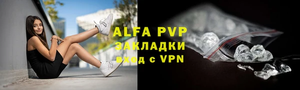 стаф Абинск
