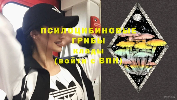 ECSTASY Абаза