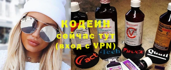 стаф Абинск