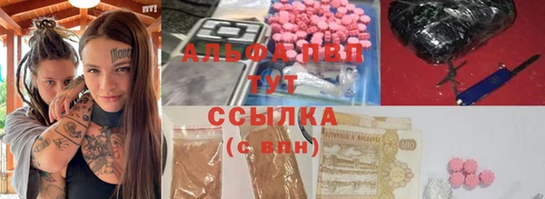 стаф Абинск